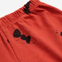 Baby Shorts | Ants