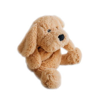 Charlie le chiot lesté